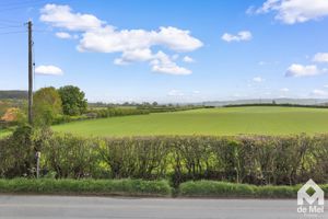 Photo 11- click for photo gallery